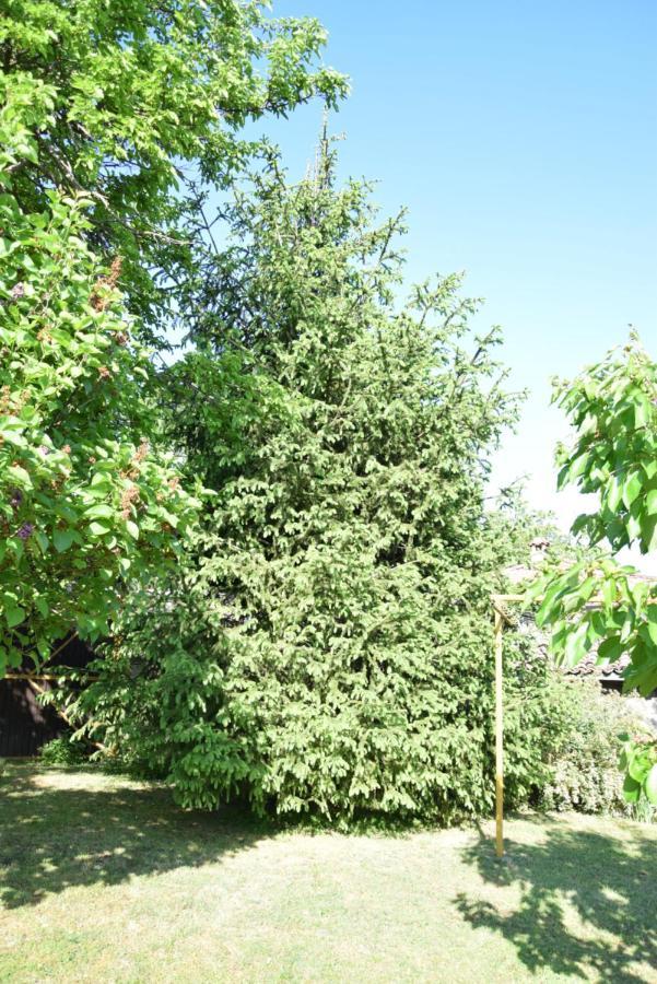 Guest House Astra Arbanasi Exterior foto