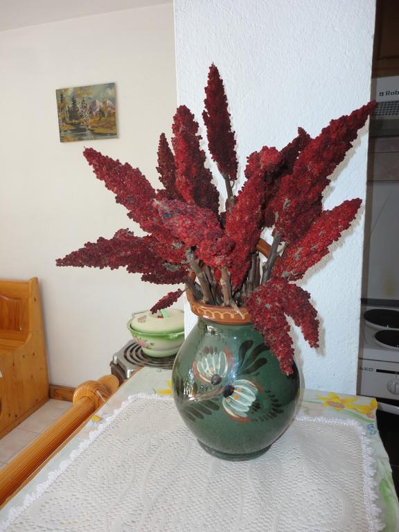 Guest House Astra Arbanasi Quarto foto